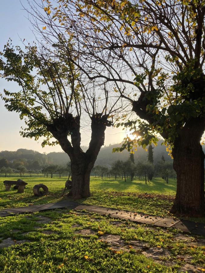 Agriturismo San Michele Vicenza Exteriör bild